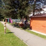 phoca_thumb_m_ponk 133 Fotogalerie